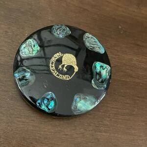 New Zealand resin paperweight Kiwi bird and Paua abalone shell